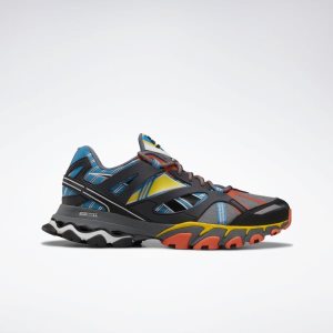 Adidasy Męskie Reebok DMX Trail Shadow Szare/Niebieskie/Pomarańczowe PL 95KDHRL